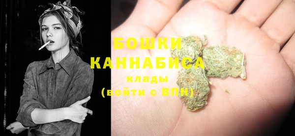 spice Козловка