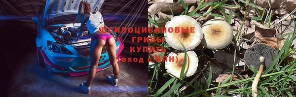 прущая мука Козельск